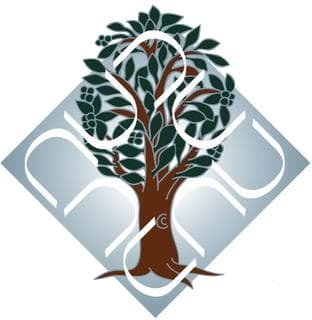 Dr. B. R. Ambedkar University Delhi logo